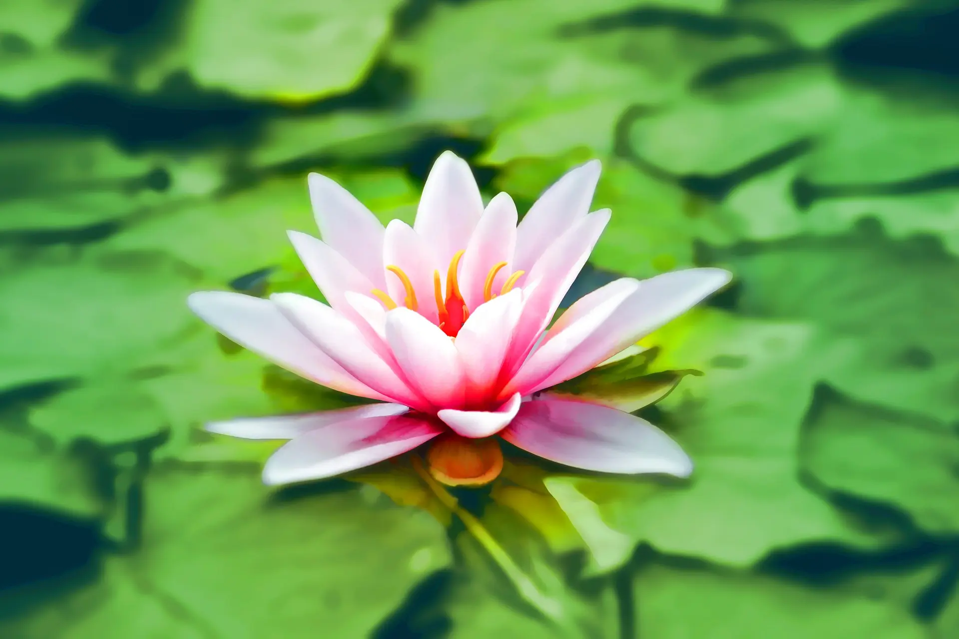 5 Tips for Creating a Mantra