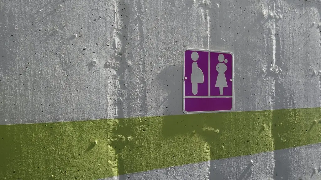 what is morning sickness - a toilet sign for women and pregnant women
