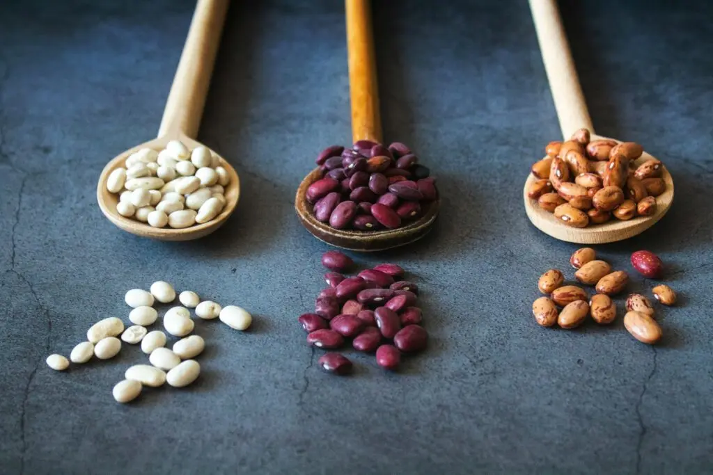 Dried Beans on Wooden Spoons