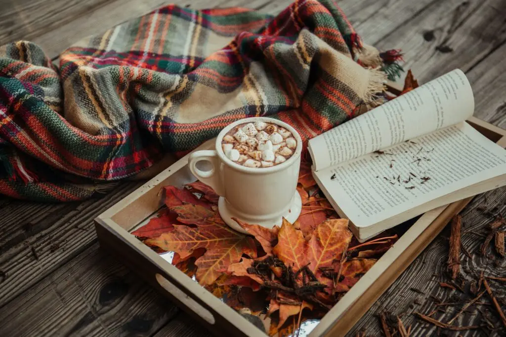 Hot chocolate on a tray with a book.