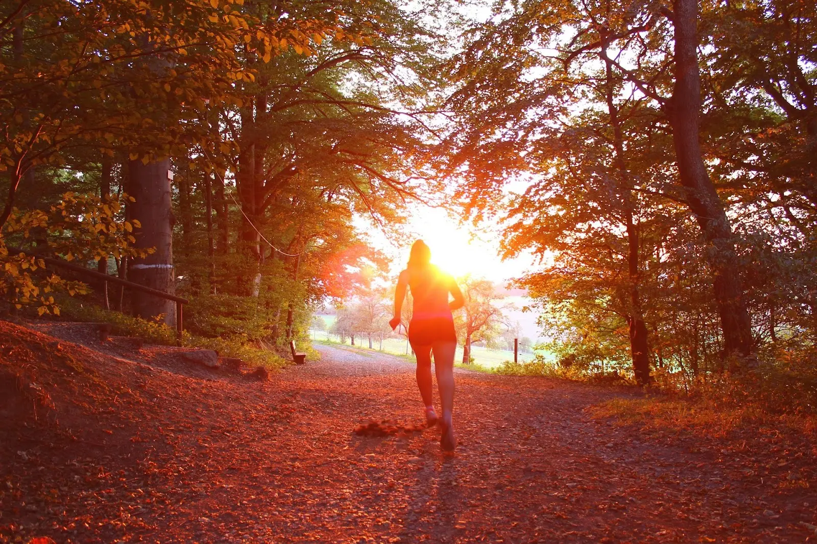running during sunset
