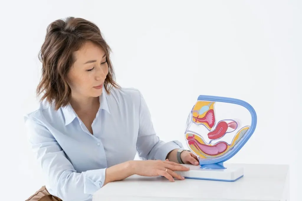 A woman in a white button-down shirt sits at a white table in front of a white wall. She points to a 3D replica of the female reproductive system, potentially talking to a patient about the egg freezing process.