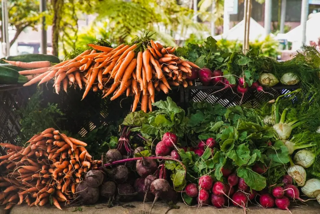 Radish and carrots