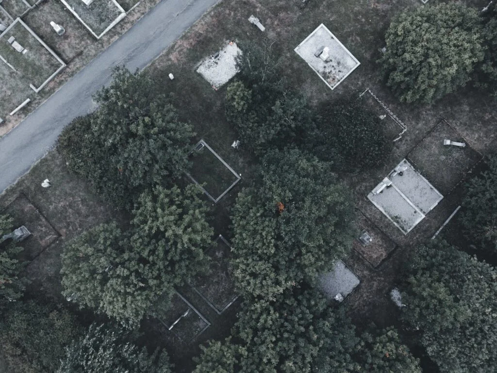 Drone Shot of Trees on a Cemetery