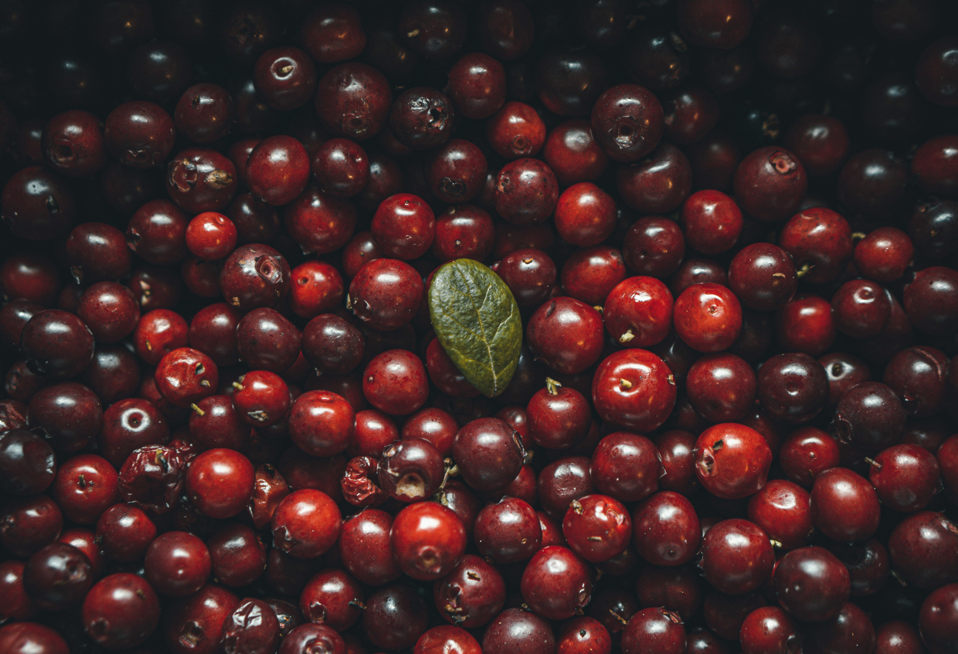 Are tart cherry juice benefits backed by science?