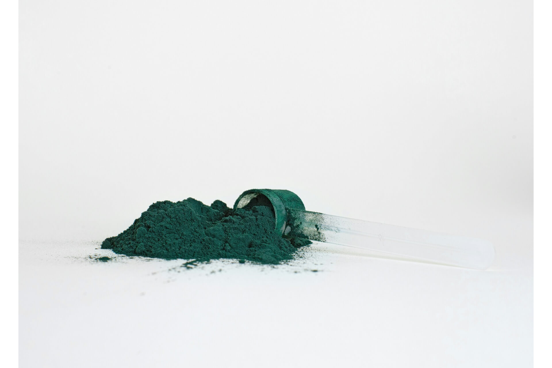 A scoop of spirulina powder against a white background