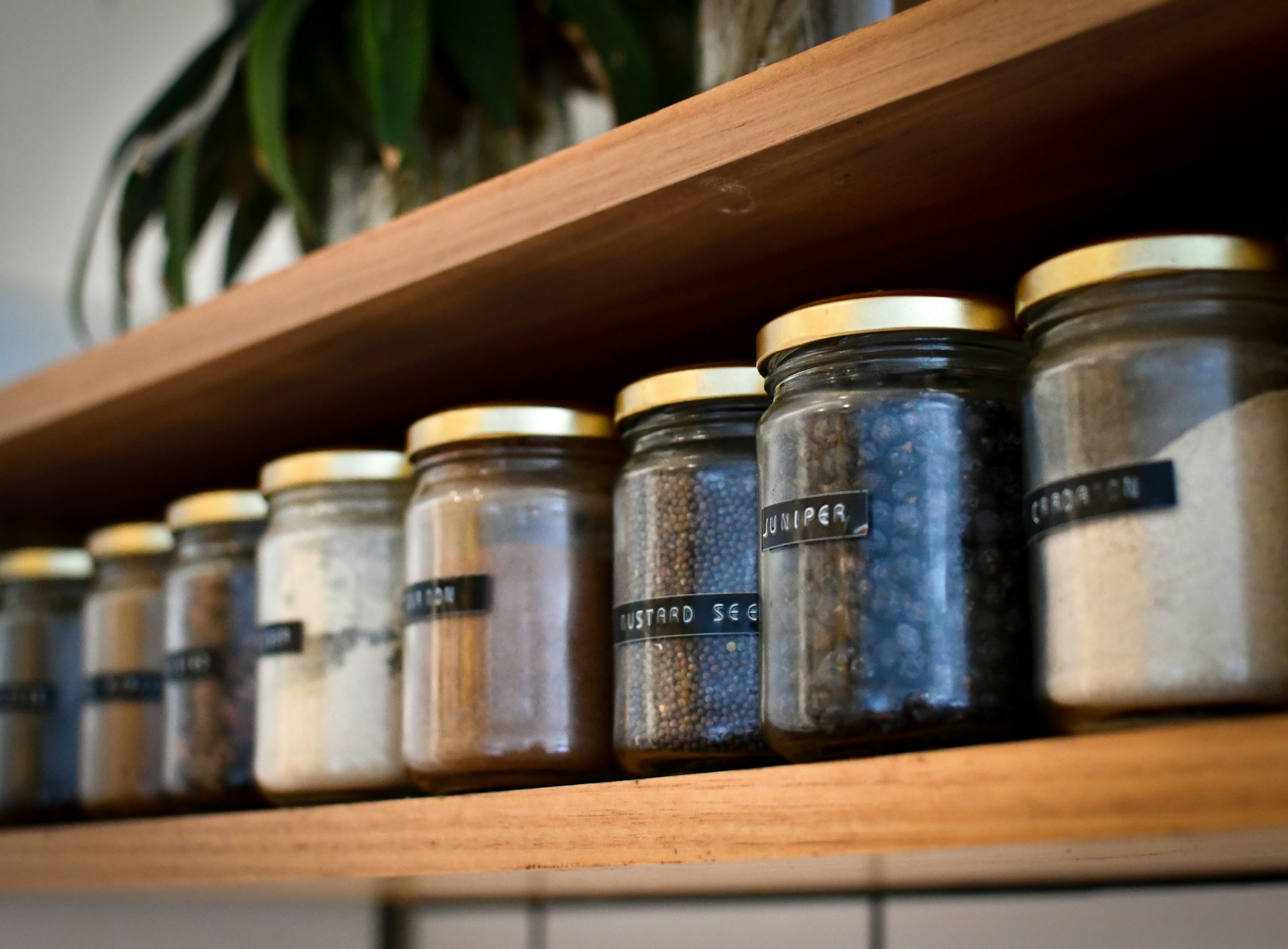 Wooden shelf with glass jars featuring brass lids and labeled with various spices like mustard seed and juniper. A plant is visible in the background.