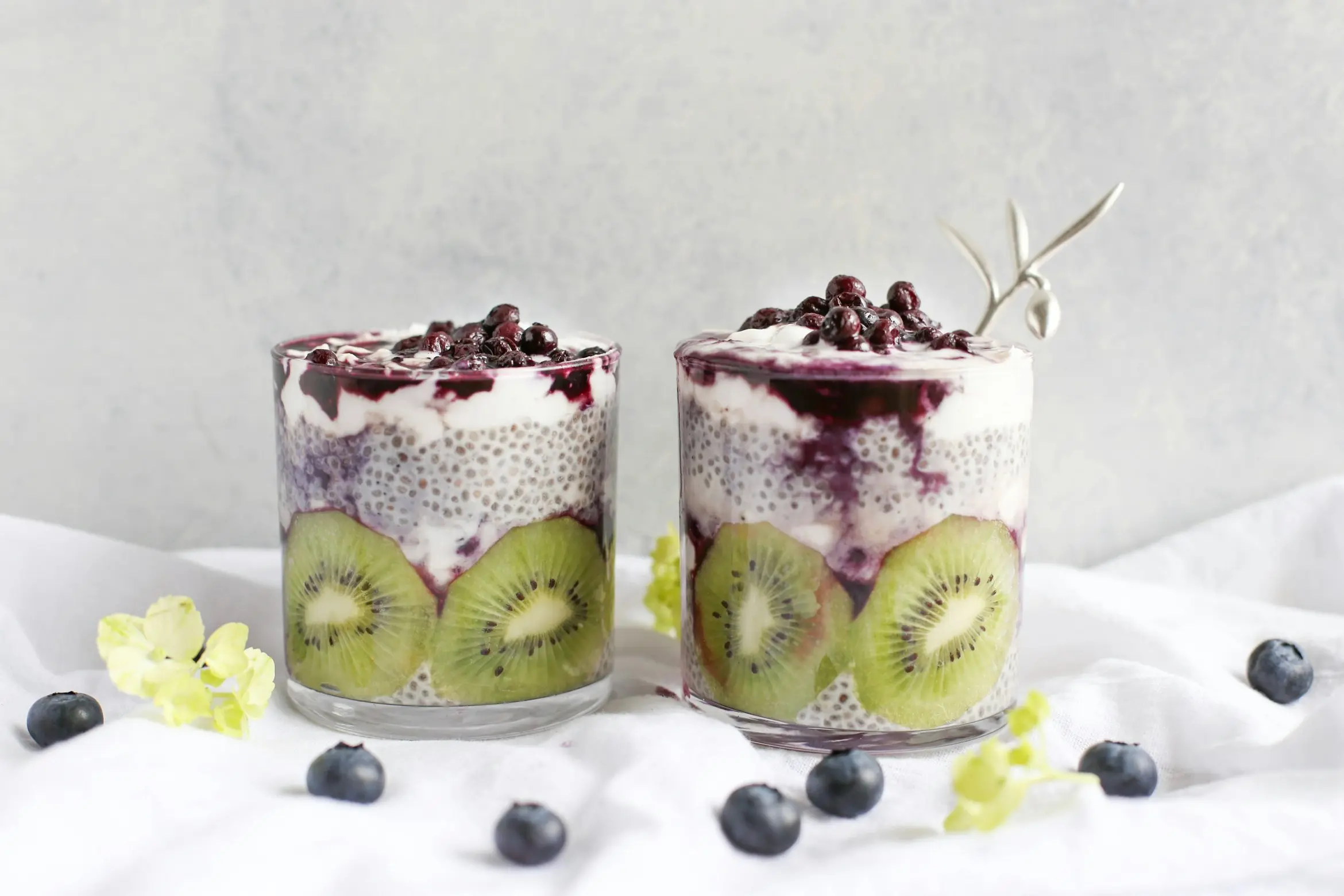 chia seed pudding