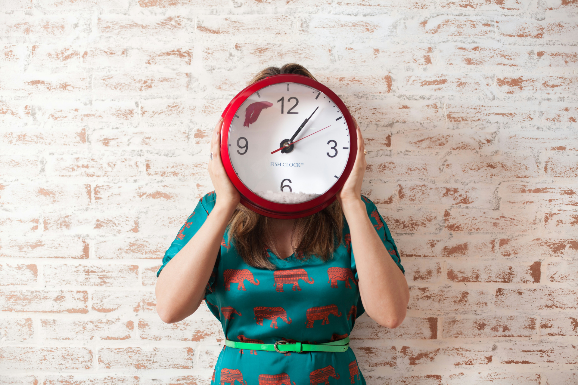 Discover how a chronotype test can free up your best times.