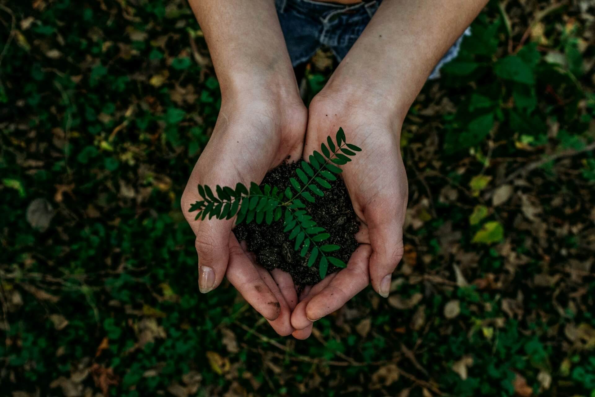 eco-friendly habits