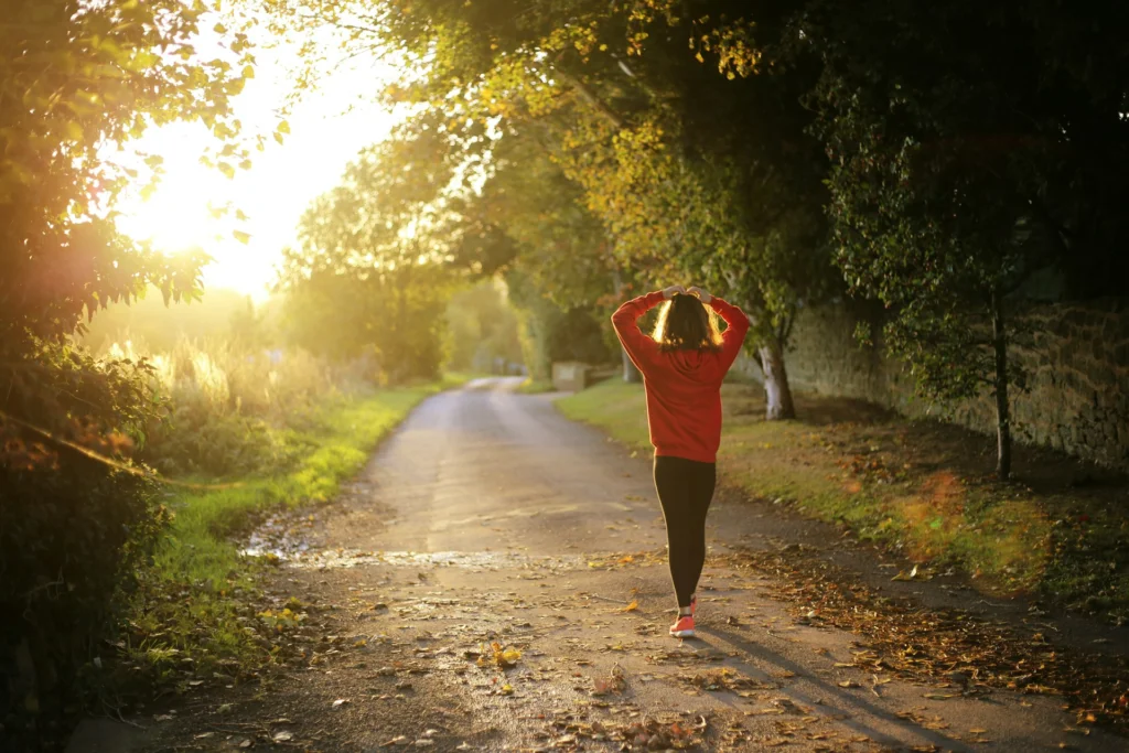 A person in a red sweater walks on a quiet, tree-lined path during a sunny autumn morning. Sunlight filters through the branches, creating a peaceful ambiance.
