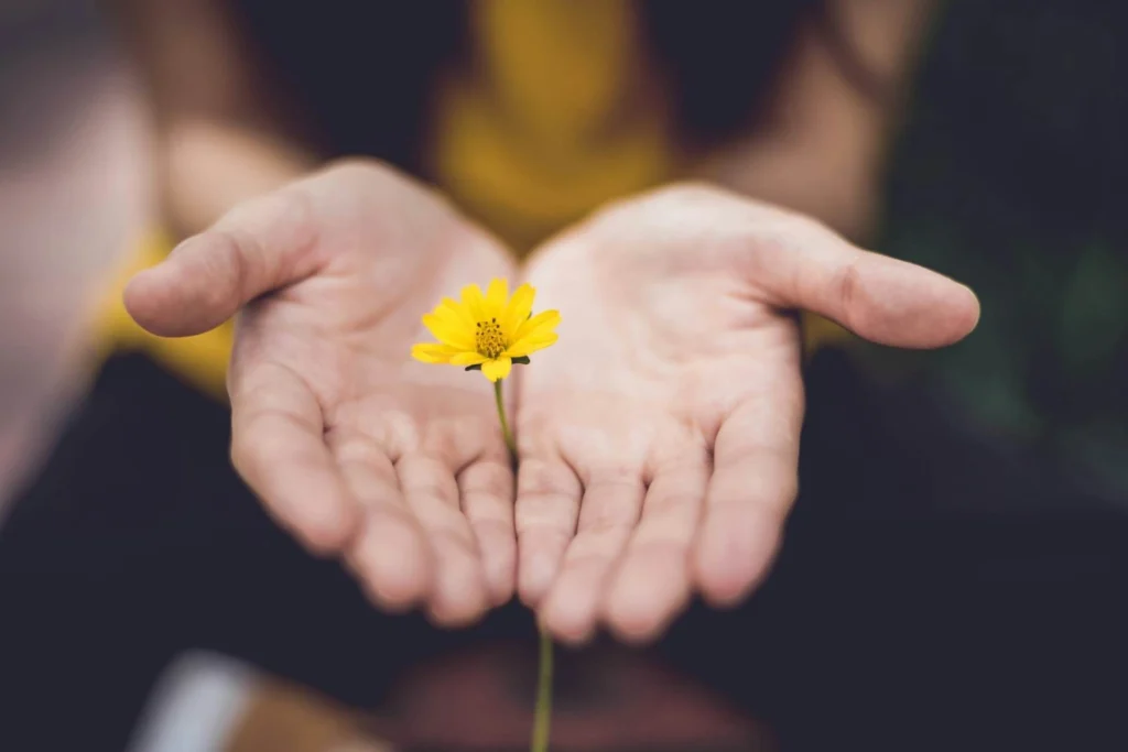 Close-up of a woman's hands holding a bunch of yellow flowers