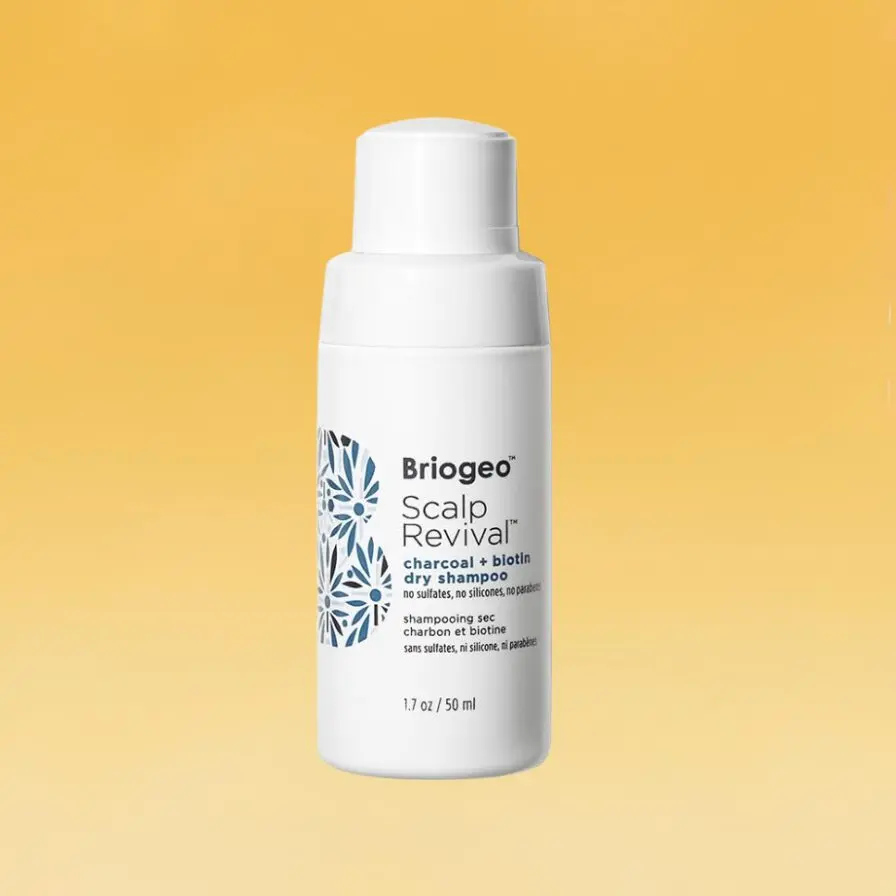 Best Dry Shampoo for Oily Hair