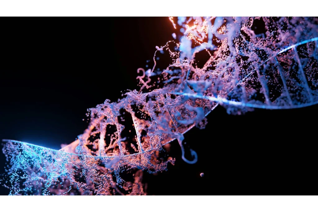 DNA cells