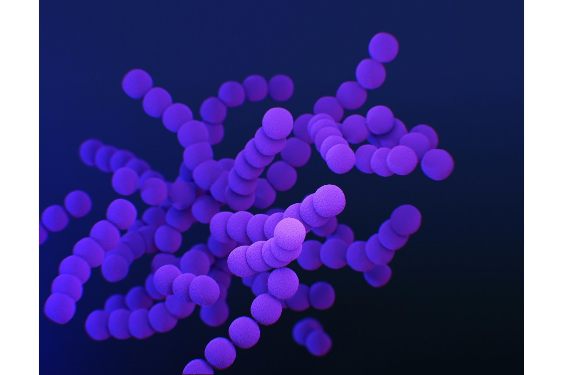Bacteria in the body