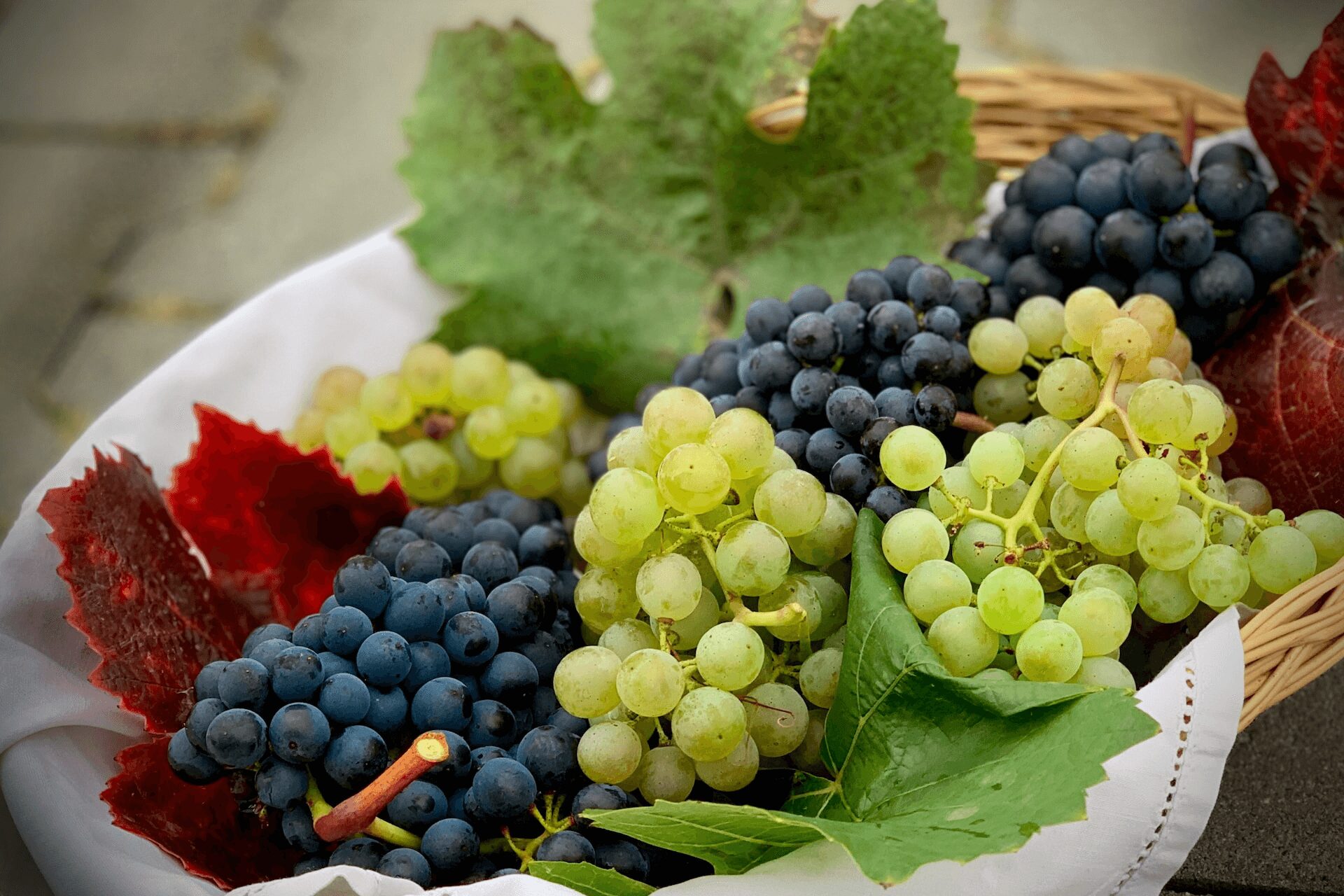Are Grapes Good for You - green and black grapes