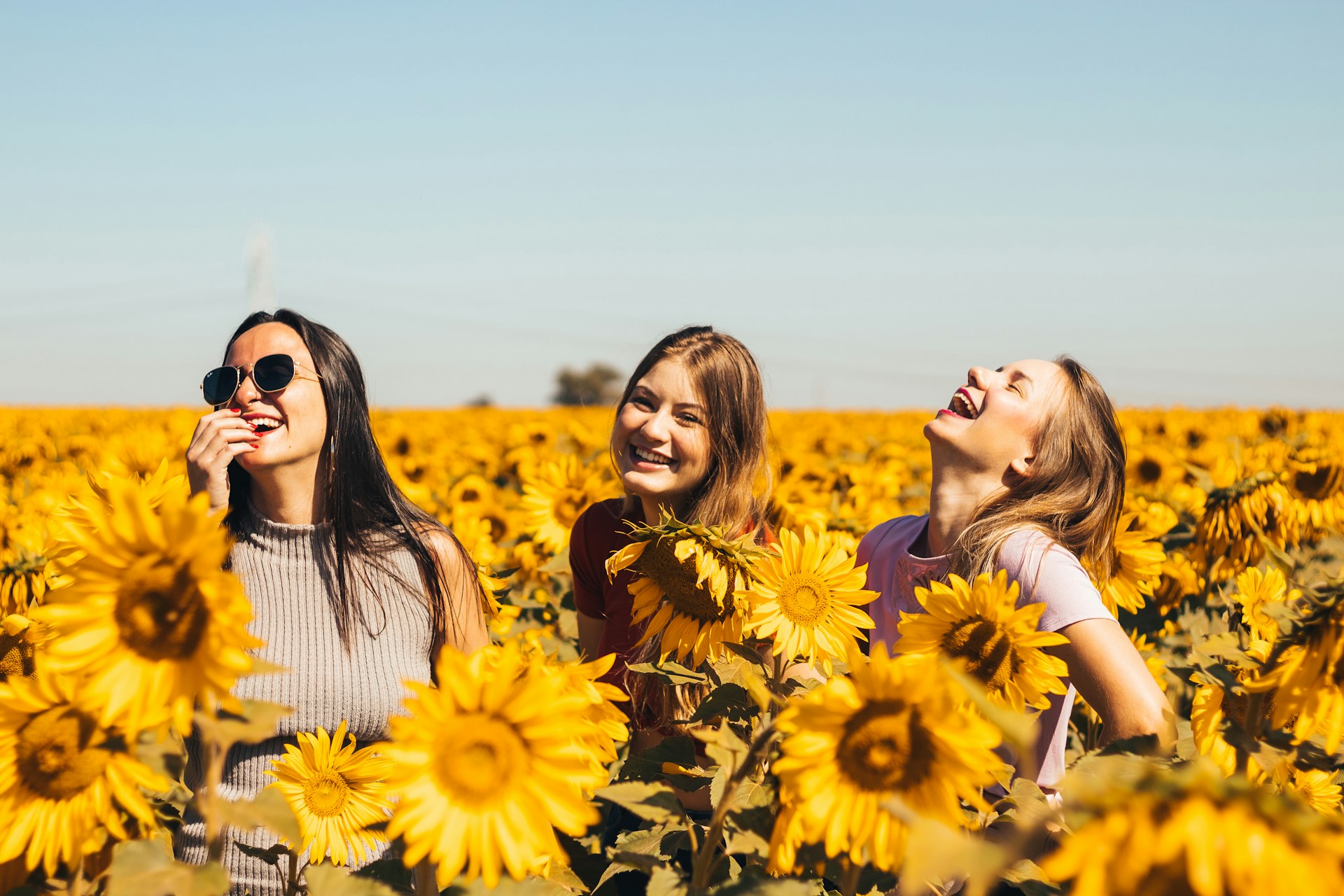 Three Women in a Sunflower Field