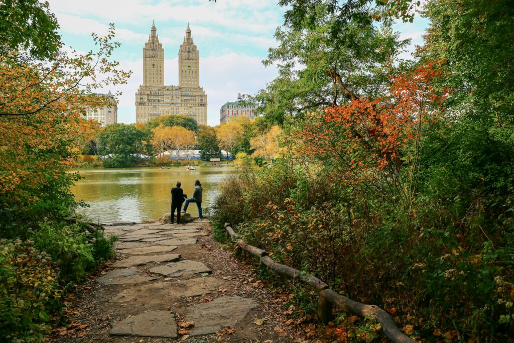 Fall in Central Park