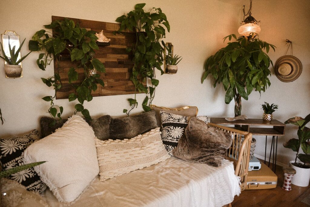 Indoor plants and a couch in a living room