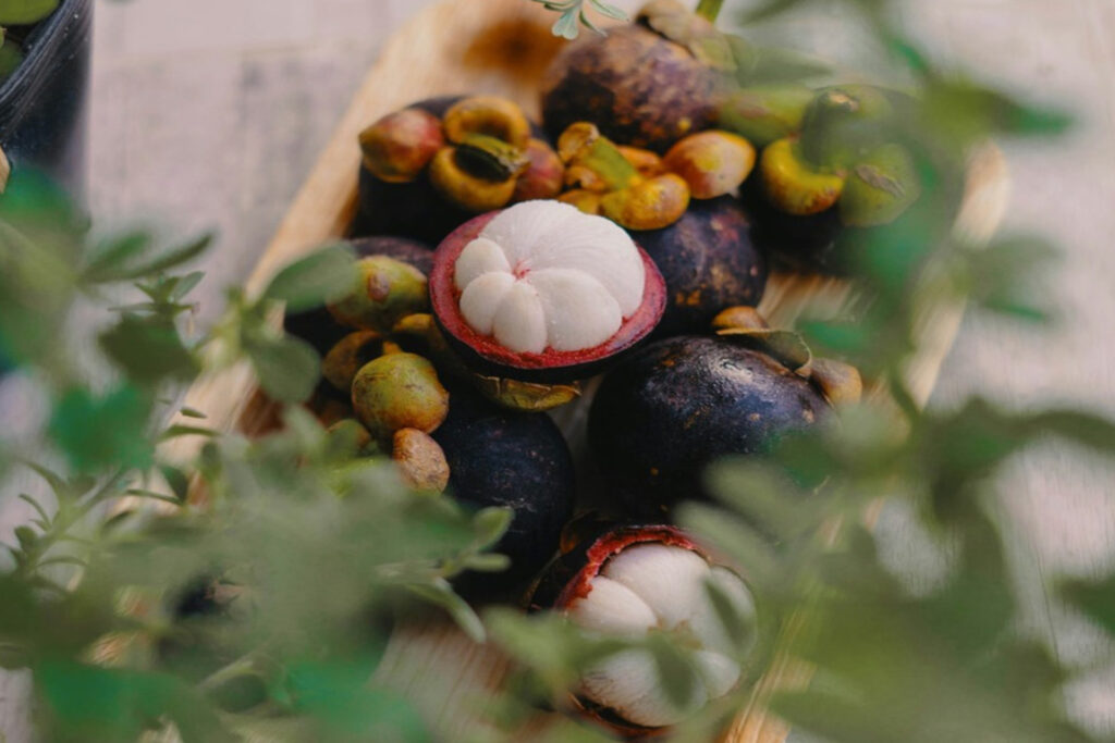 Discover the health benefits of the delicious mangosteen superfruit and how to eat it.