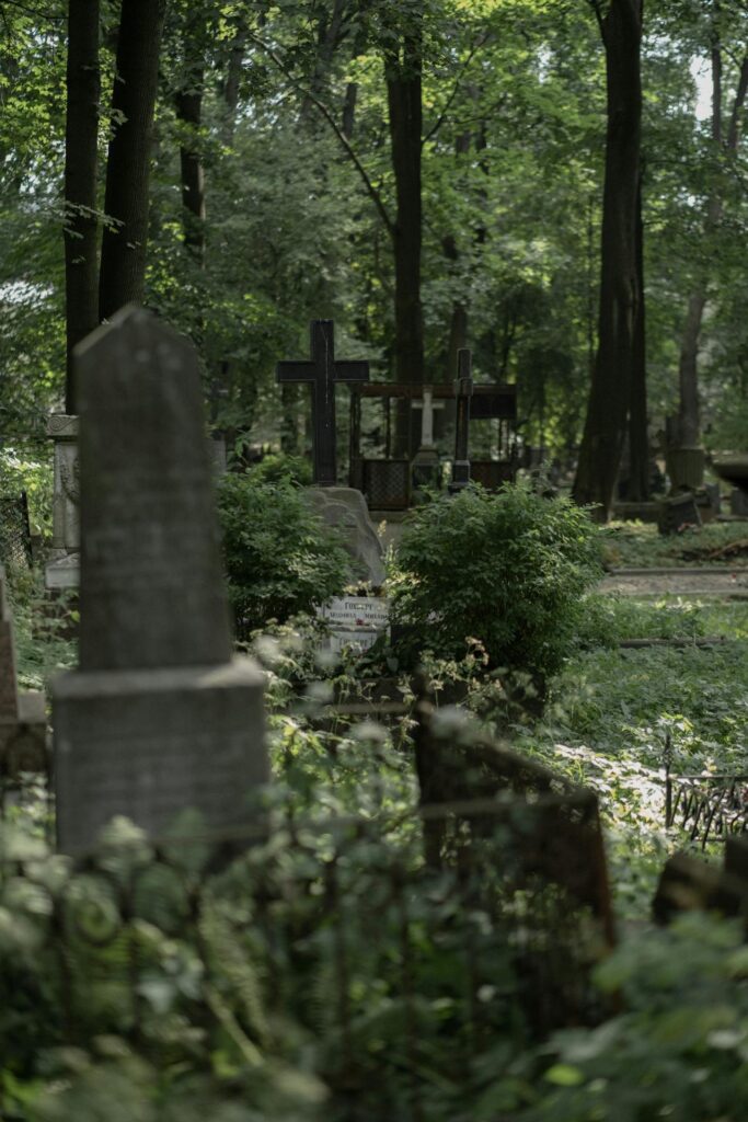 A Cemetery with Tall Green Trees