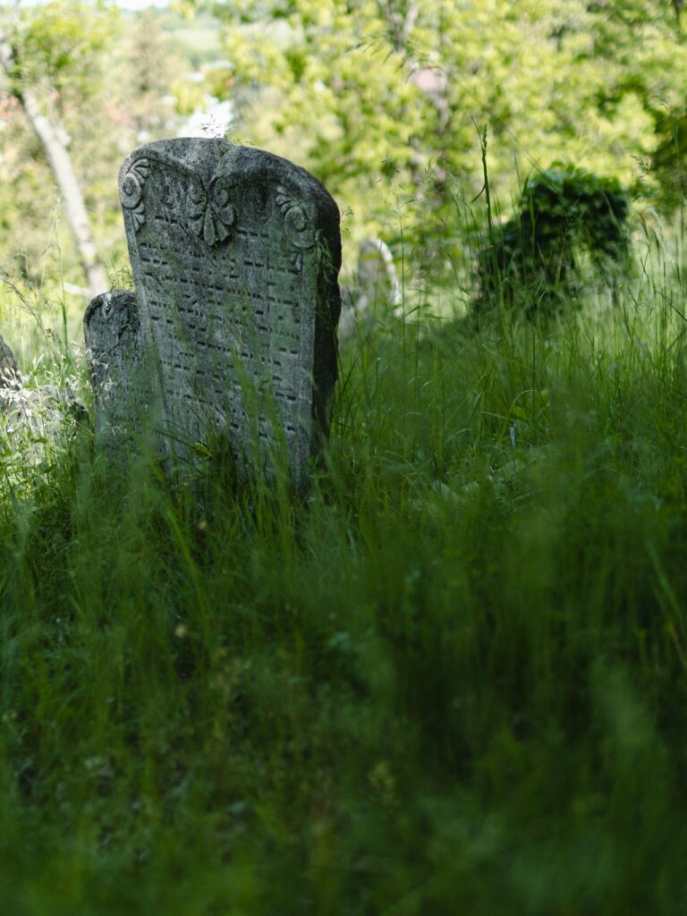 Old Weathered Gravestone in Overgrown Cemetery