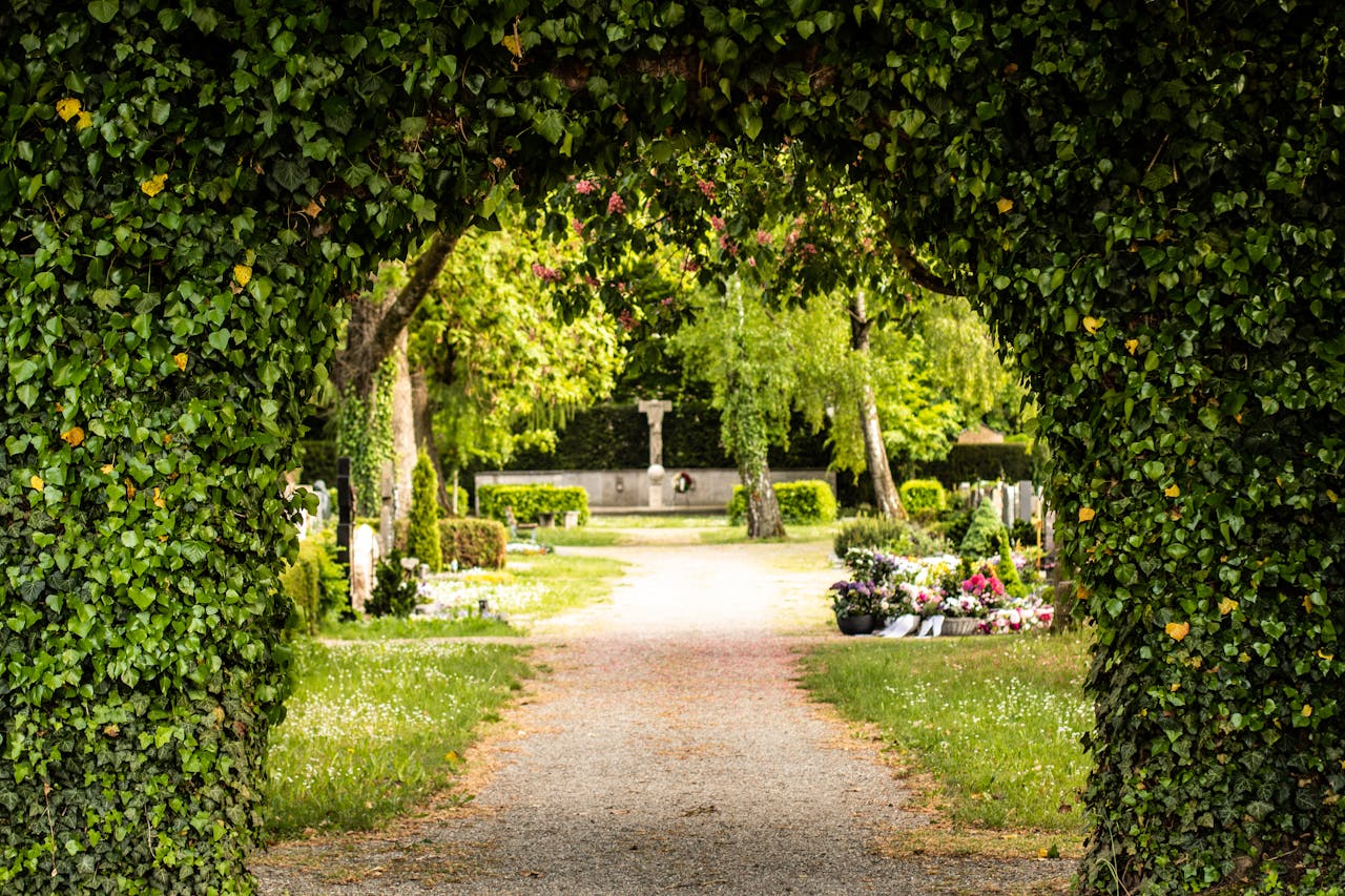 Serene Cemetery Pathway with Ivy Arch
