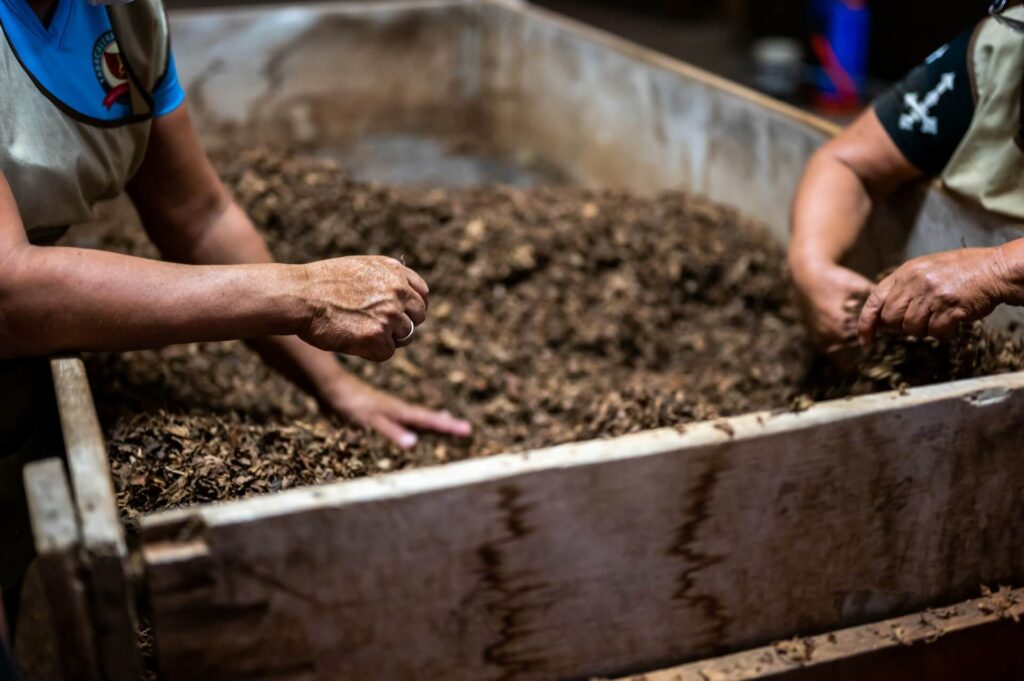 People putting their hands in brown soil