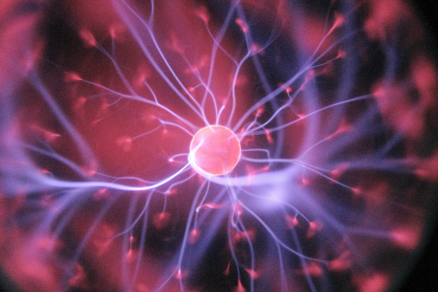 The Role of Your Vagus Nerve in Lyme Disease Recovery
